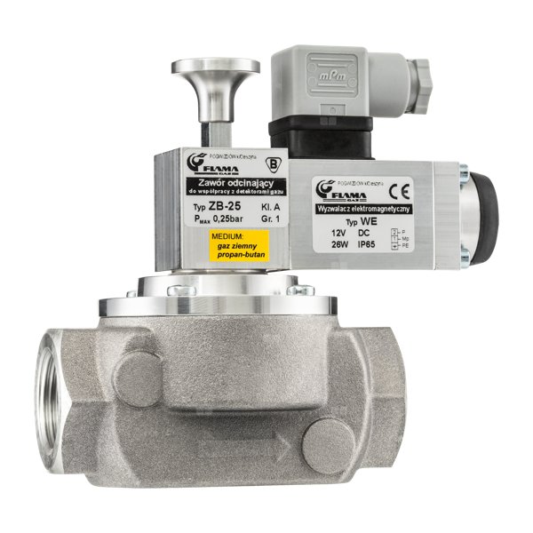 zawór grzybkowy, kołnierzowy DN100, cewka 12V