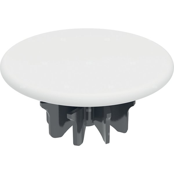Pokrywa odpływu Geberit do zaworu zestawu odpływowego ze swobodnym przepływem: Materiał=Ceramika sanitarna, Biały